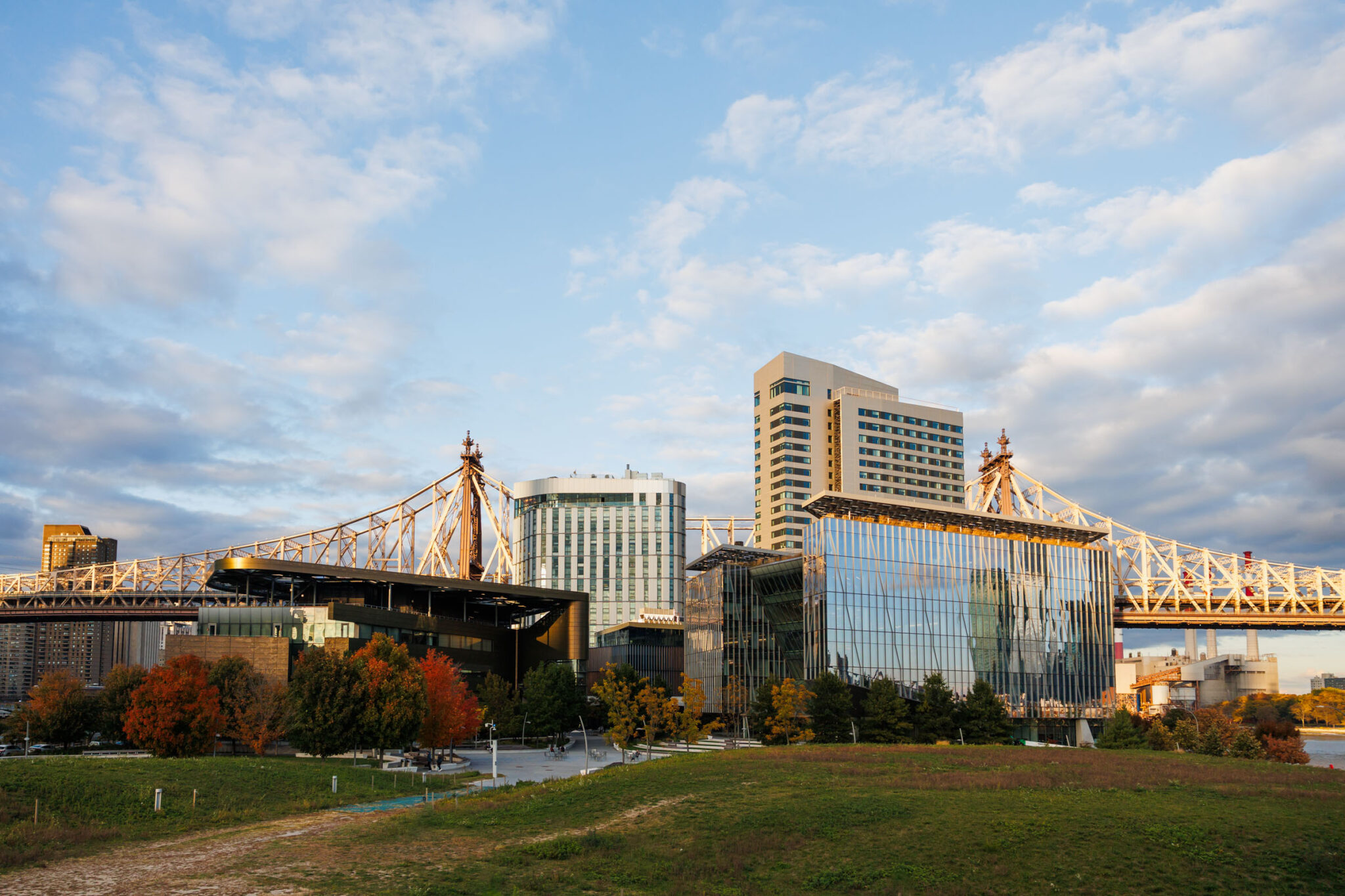 A color photo of the Cornell Tech campus.