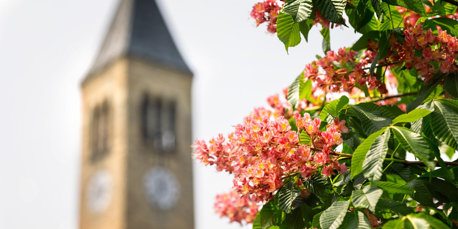 A color photo showing McGraw Tower on the Cornell University campus in Ithaca, NY