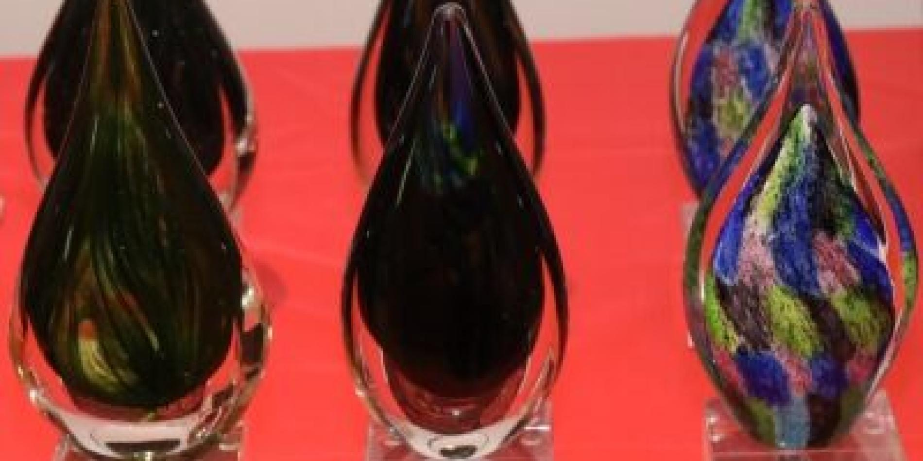 Three from Cornell Bowers CIS receive awards recognizing inclusive excellence