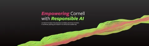 A still from the AI Innovation Hub's new website