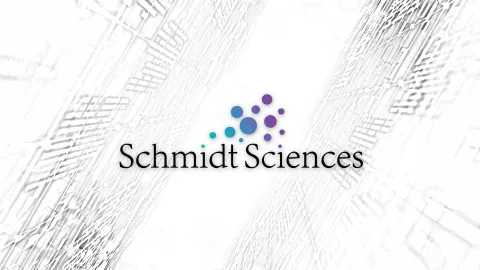 Researchers in climate science, nanoparticles among 12 newest Eric and Wendy Schmidt AI in Science Postdoctoral Fellows