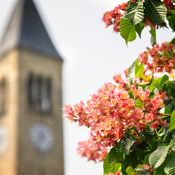 A color photo showing McGraw Tower on the Cornell University campus in Ithaca, NY