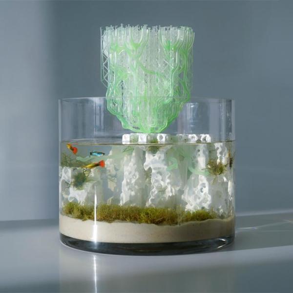 A color photo showing a small fish bowl.