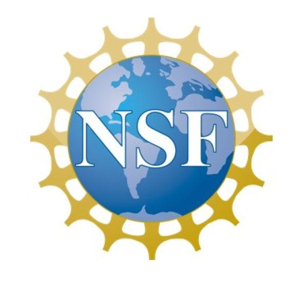 Kuleshov, Pierson win NSF early-career awards
