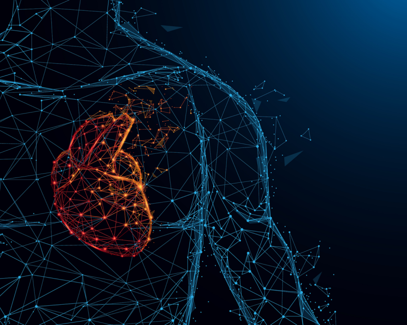 wireframe drawing of human body with emphasis on the heart